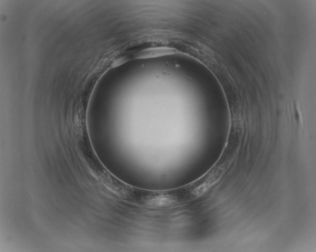 X0000068810460200605051149