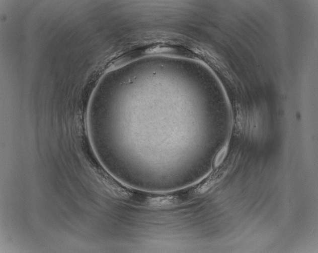 X0000068810461200605051149