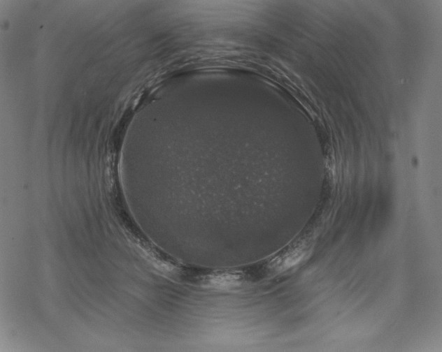 X0000068810462200605051149