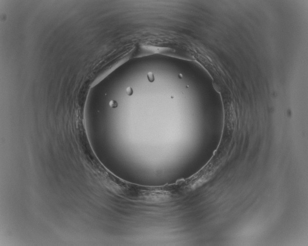 X0000068810463200605051149