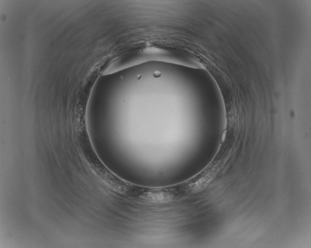 X0000068810464200605051149