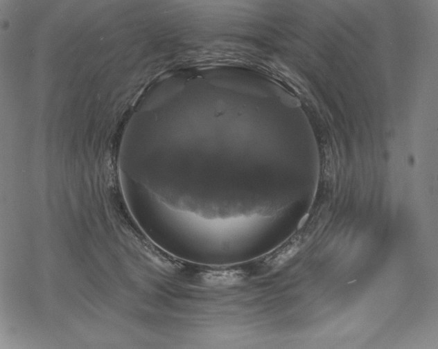 X0000068810465200605051149