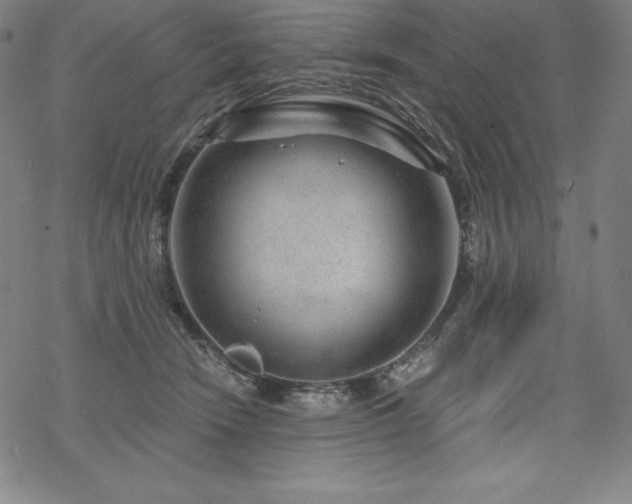 X0000068810466200605051149