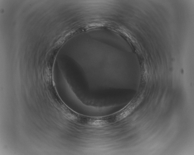 X0000068810467200605051149