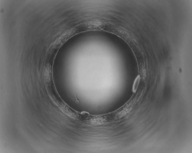 X0000068810468200605051149