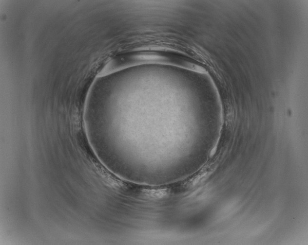 X0000068810469200605051149