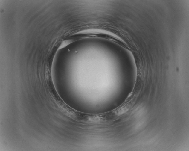 X0000068810470200605051149