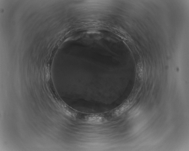 X0000068810471200605051149