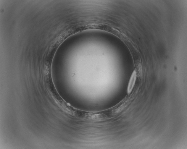 X0000068810472200605051149