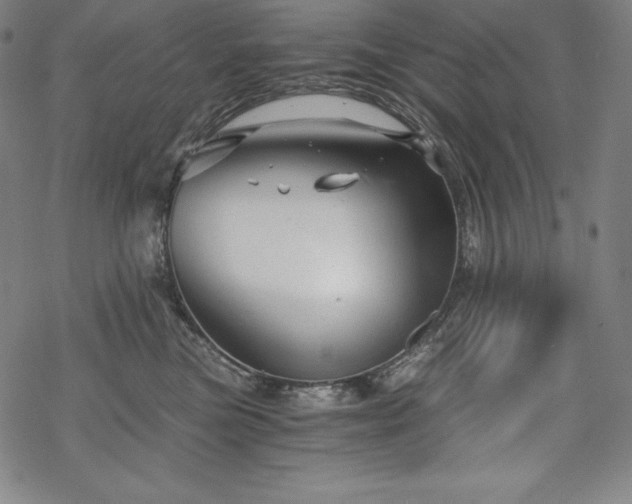 X0000068810473200605051149