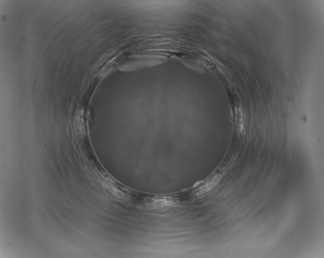 X0000068810475200605051149