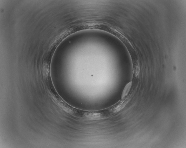 X0000068810476200605051150