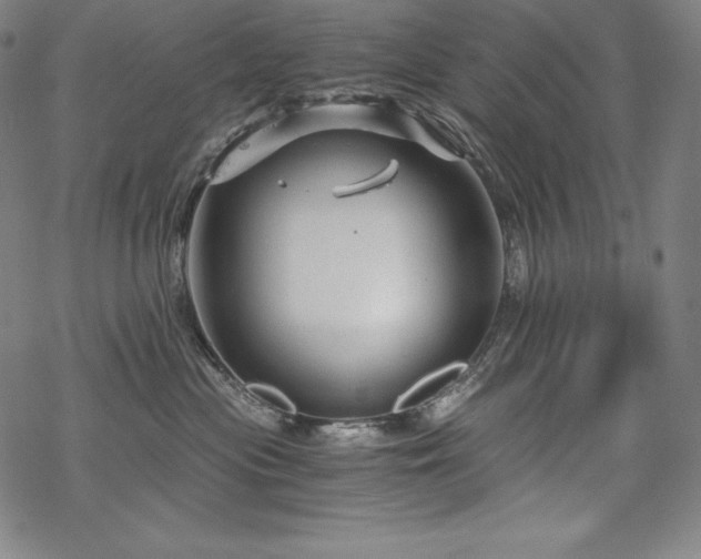 X0000068810477200605051150