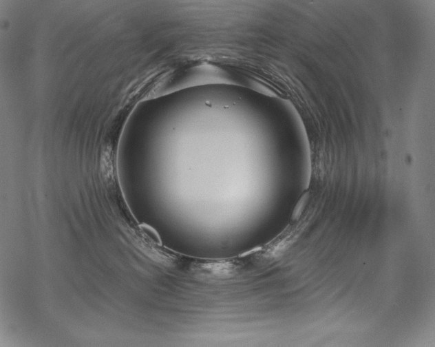 X0000068810478200605051150