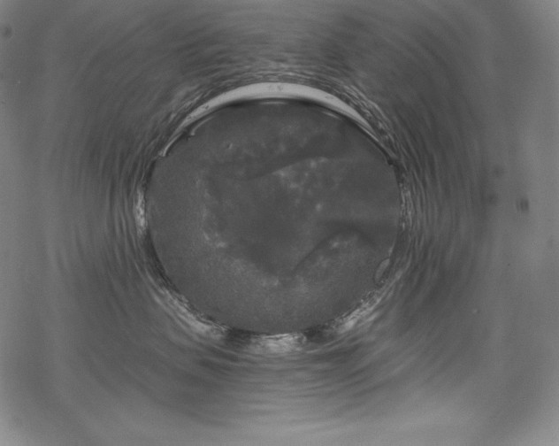 X0000068810479200605051150