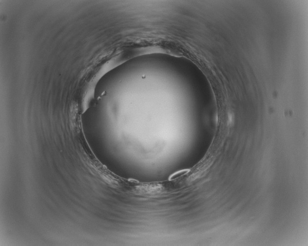 X0000068810480200605051150