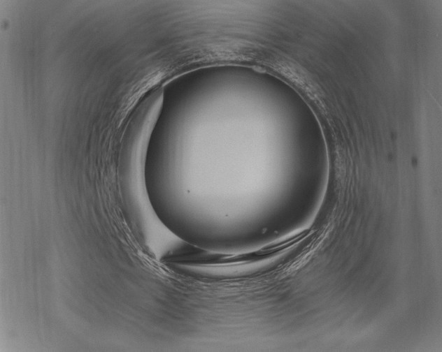 X0000068810481200605051149