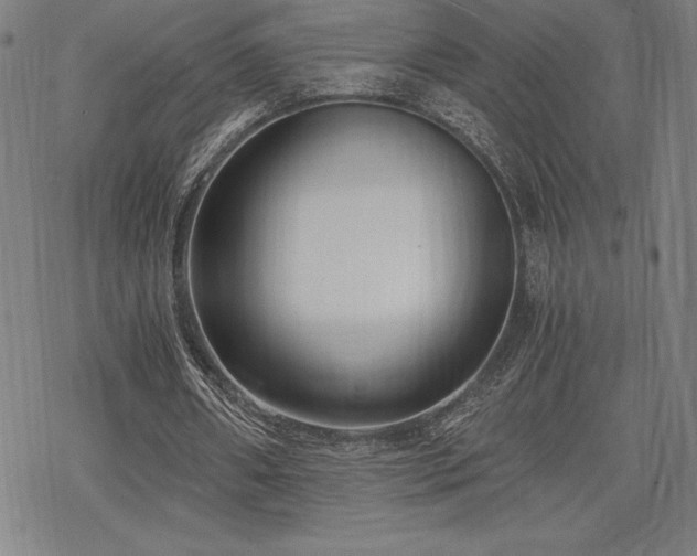 X0000068810482200605051149