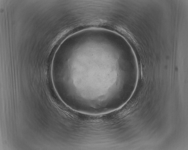 X0000068810483200605051149