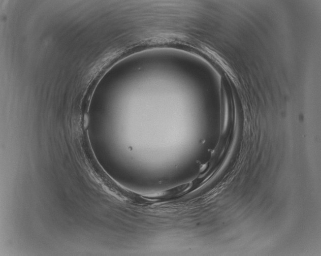 X0000068810485200605051149