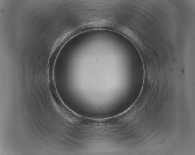 X0000068810486200605051149