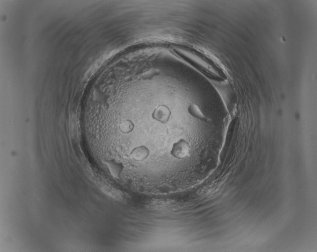 X0000068810487200605051149