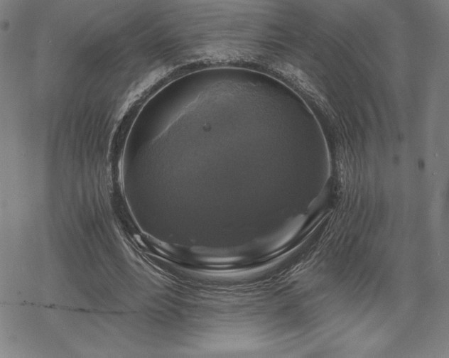 X0000068810488200605051149