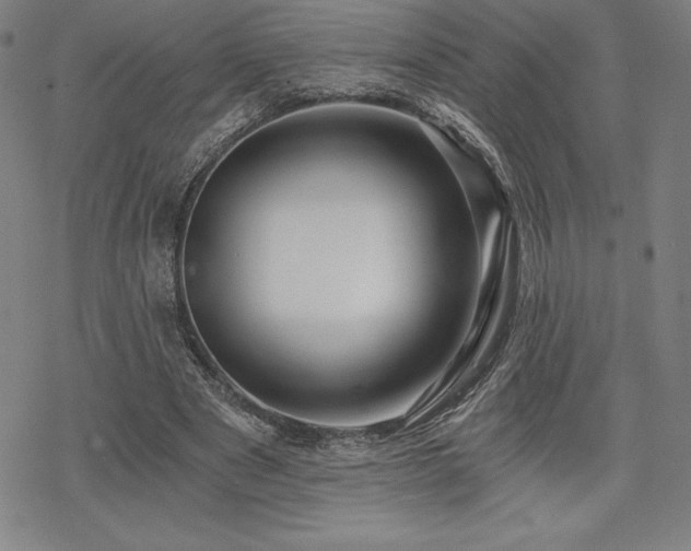 X0000068810489200605051149