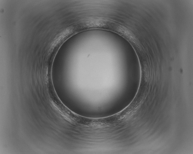 X0000068810490200605051149