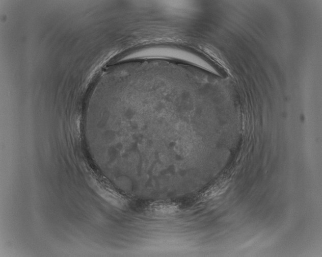 X0000068810491200605051149