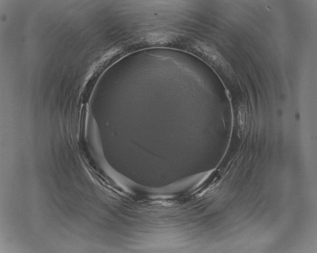 X0000068810492200605051149