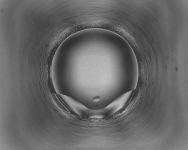 X0000068810493200605051149