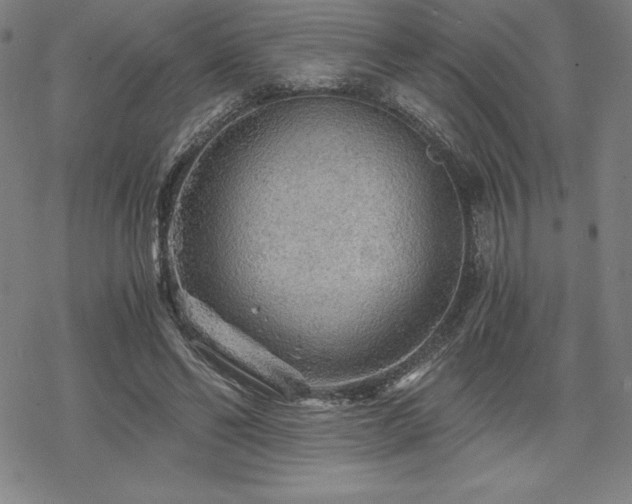 X0000068810494200605051149