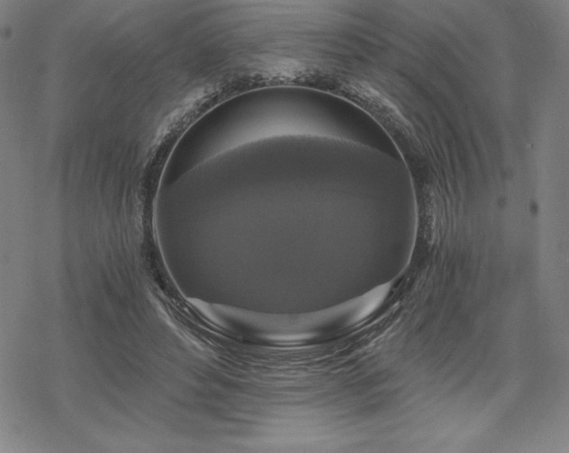 X0000068810496200605051149