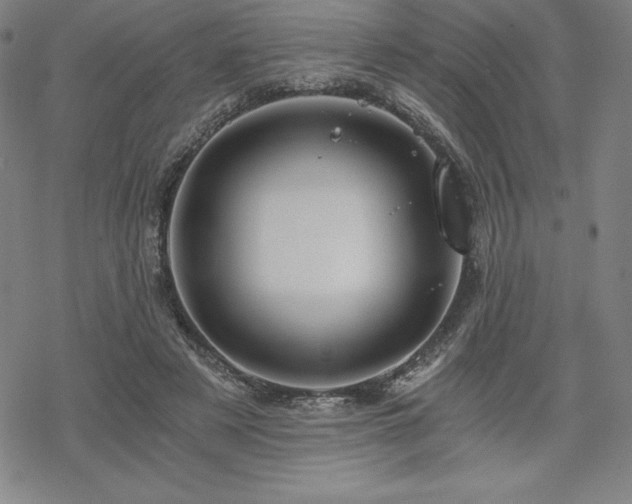 X0000068810497200605051149