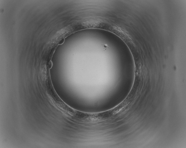 X0000068810498200605051149