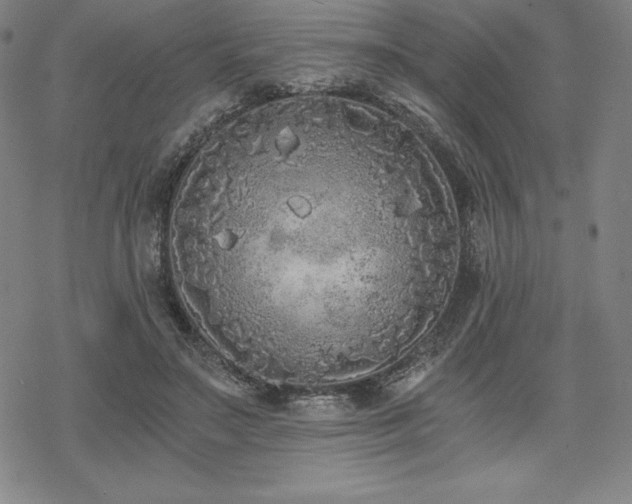 X0000068810499200605051149