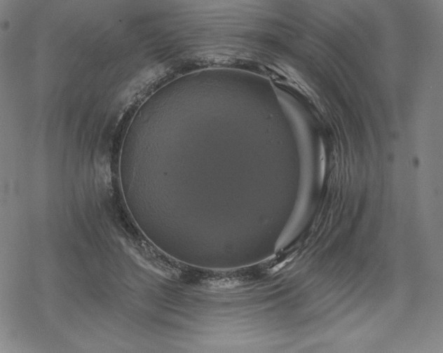 X0000068810500200605051148