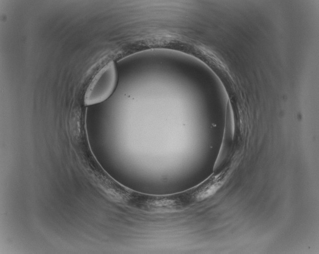 X0000068810501200605051148