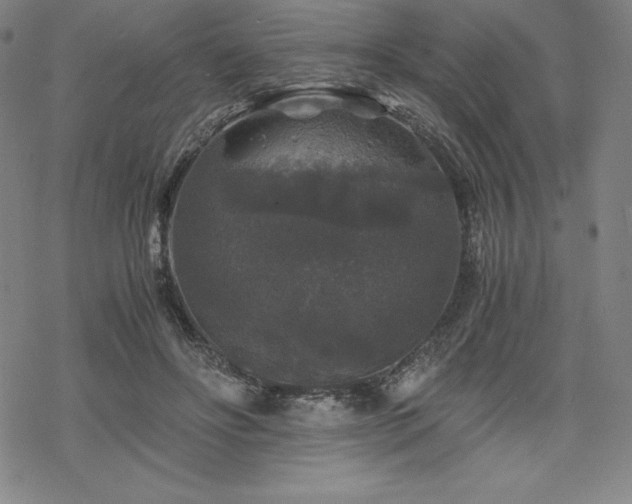 X0000068810502200605051148