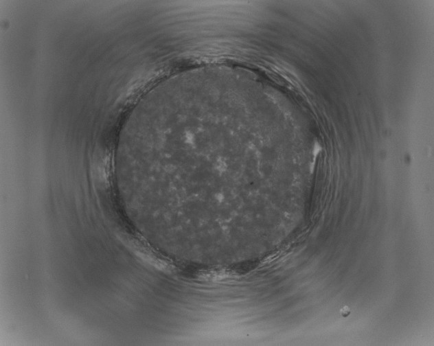 X0000068810503200605051148