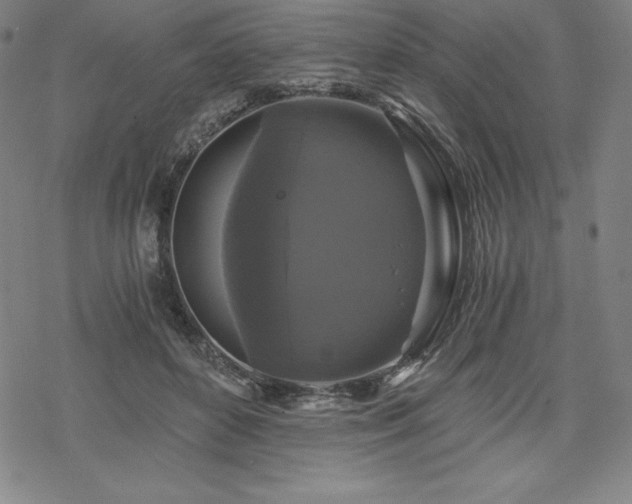 X0000068810504200605051148