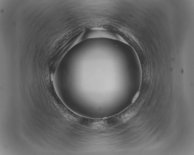 X0000068810505200605051148