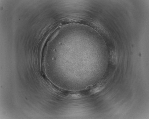 X0000068810506200605051148