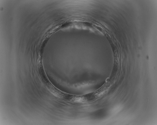 X0000068810507200605051148