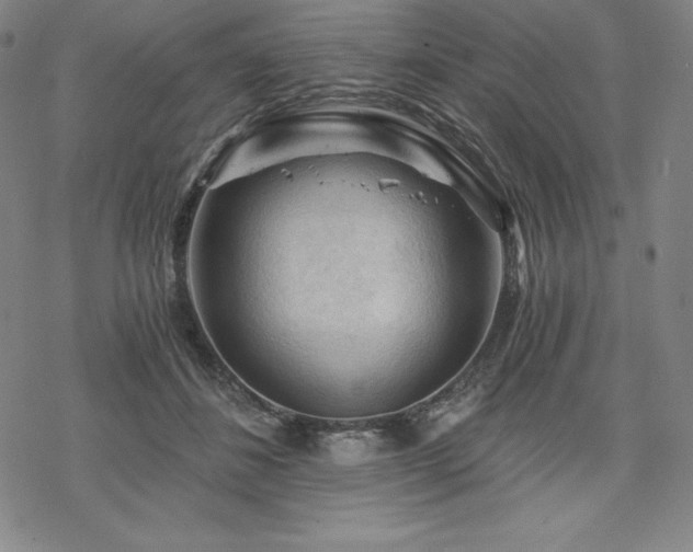 X0000068810508200605051148