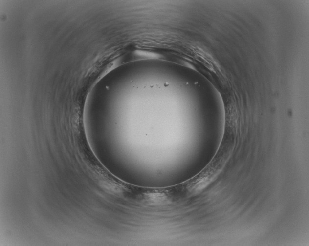 X0000068810509200605051148