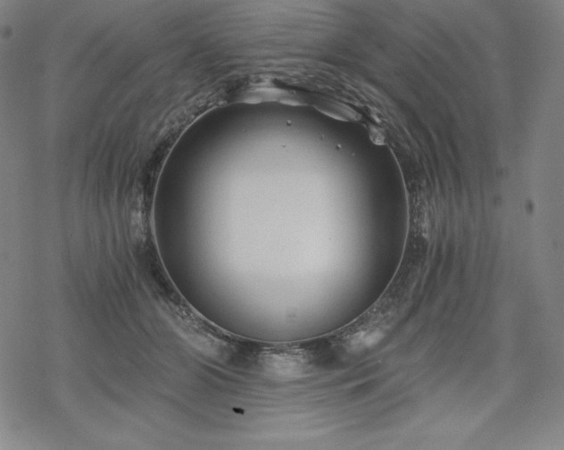 X0000068810510200605051148