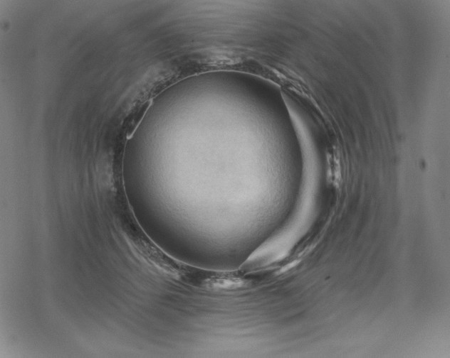 X0000068810512200605051148