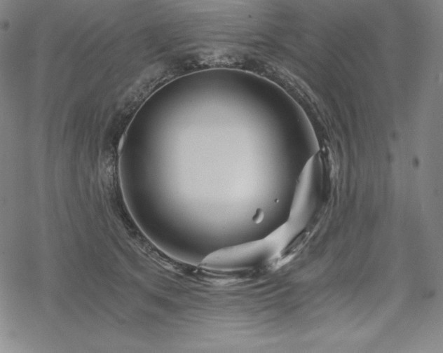 X0000068810513200605051148